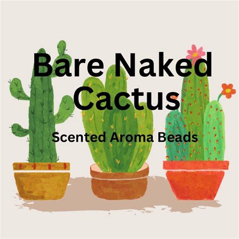 Aroma Beads Scented Bare Naked Cactus For Car Air Freshener Car Freshie Supplies Ratio