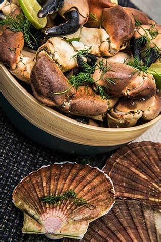 Norwegian Seafood: Culture of Sustainability | Northern Delights