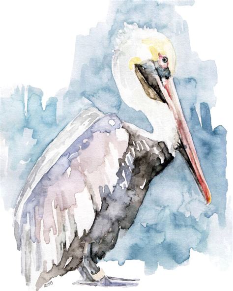 Pelican Art