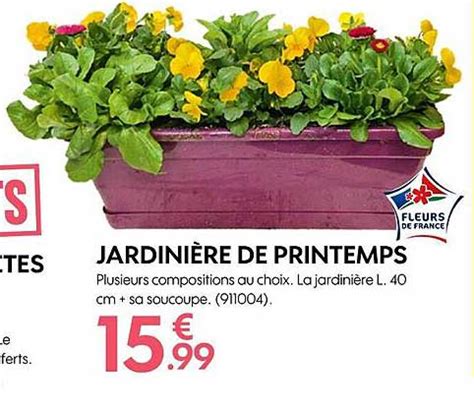 Promo Jardinières De Printemps chez Truffaut iCatalogue fr