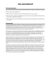 Pglo Transfer Full Lab Instructions Ap Doc Pglo Gene Transfer