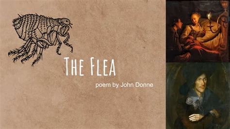 The Flea By John Donne Pptx