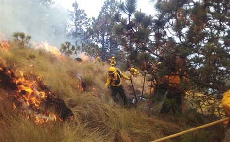 En Veracruz Reportan Incendio En Las Faldas Del Pico De Orizaba