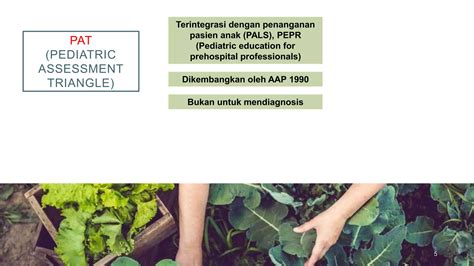 PEDIATRIC ASSESSMENT TRIANGLE Pptx