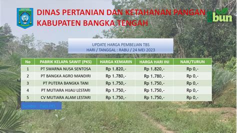 Update Harga Tandan Buah Segar Tbs Mei