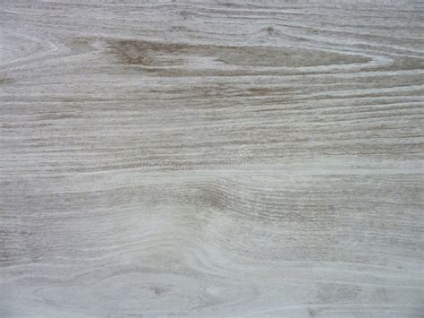 White oak wood texture stock photo. Image of surface - 100775588