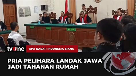 Nasib Akhir Nyoman Sukena Jadi Tahanan Rumah Usai Pelihara Landak Jawa