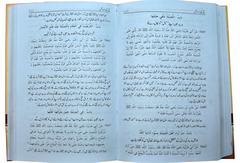 Mukhtasar Sahih Muslim 2 Volumes Set Darulandlus Pk