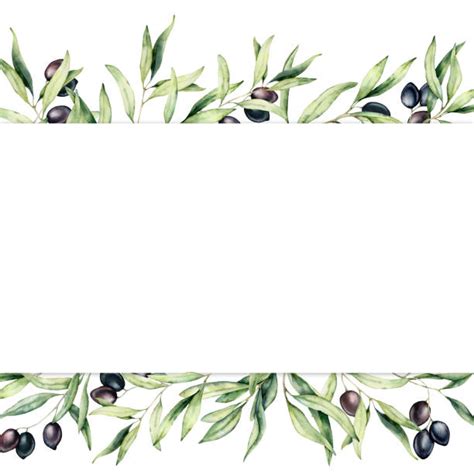 1,200+ Olive Leaf Border Stock Photos, Pictures & Royalty-Free Images ...