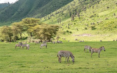 2 Days Tanzania Budget Safari Tanzania Hazzes Adventure