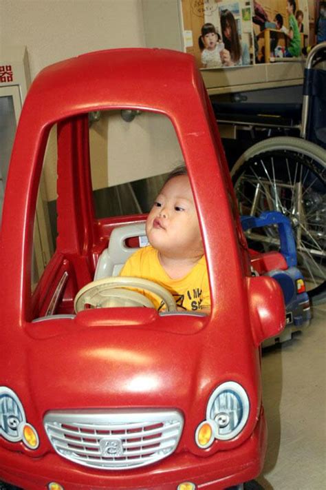 最近の写真 葵流お気楽人生世渡り上手