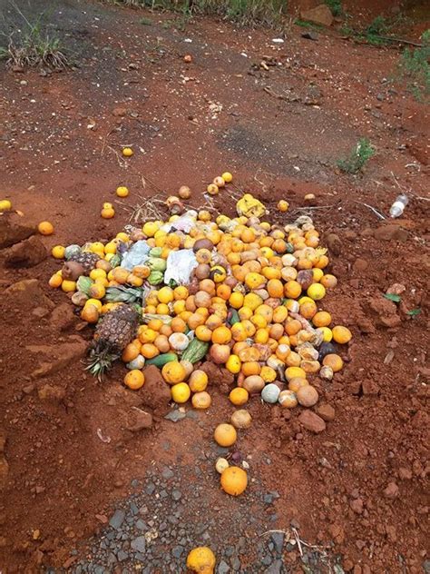 Terreno baldio vira depósito de produtos e preocupa moradores Rádio