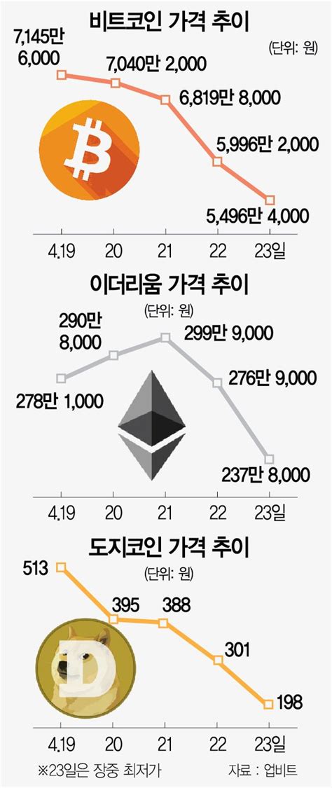 비트코인 이틀새 19 폭락·도지는 반토막영끌 2030 패닉 네이트 뉴스