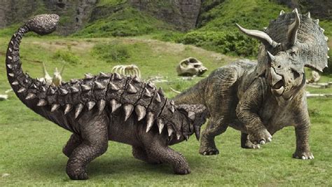 Triceratops vs Ankylosaurus | Prehistoric wildlife, Prehistoric, Lion sculpture