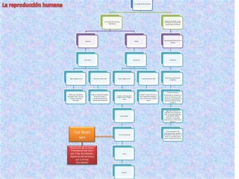 PPT Esquema Tema 3 Cono DOKUMEN TIPS