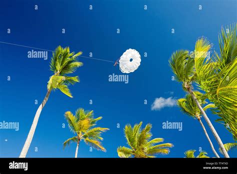 Bavaro Beach Dominican Republic Stock Photo - Alamy