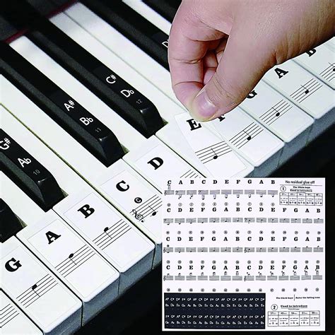 Buy Piano Key Stickers Piano Sticker Complete Set For 49 54 61 88