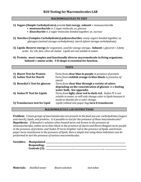 B Testing For Macromolecules Lab B Testing For Macromolecules Lab