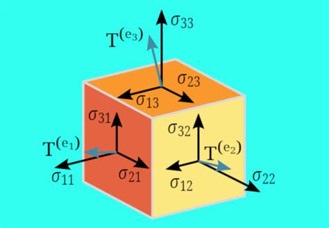 Tutorial Import An Onnx Model Into Tensorflow For Inference