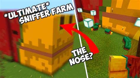 I Built This Sniffer Farm In My Minecraft Survival World In 1 20 1 Youtube