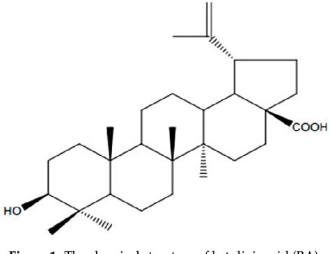 Figure 1 From Protective Action Of Betulinic Acid On Cerebral Ischemia