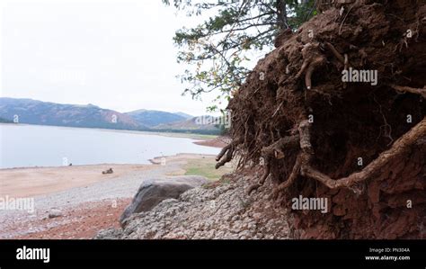 Una Vez Que Las Plantas Estaban Creciendo En Un Lago Pero Ahora Tienen