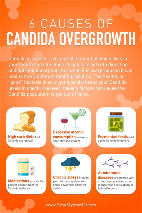 Infographic: A Visual Guide To Candida » The Candida Diet, 41% OFF