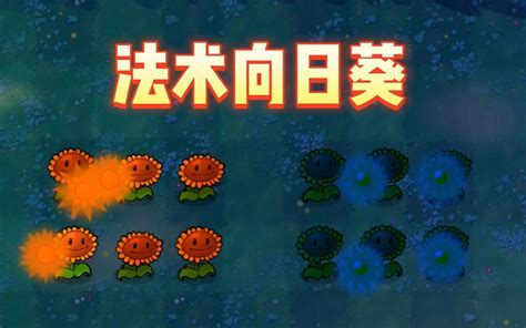 植物大战僵尸cl版：向日葵175阳光一个？法术向日葵？ 哔哩哔哩 Bilibili