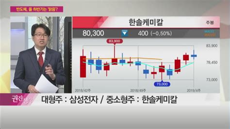 부자들은 경제신문을 읽는다 김권진 차장 반도체株 업황 둔화 불확실성 해소유망주 삼성전자·한솔케미칼