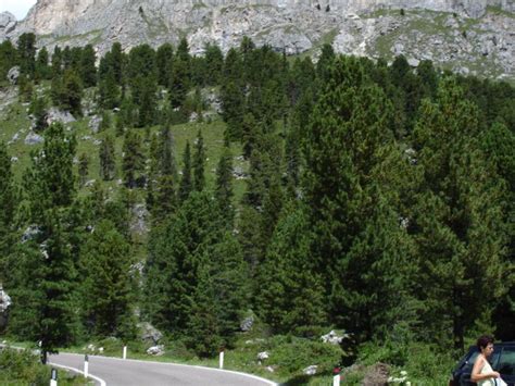 Südtirol Dolomiten Gebirgskette der Südlichen Kalkalpen