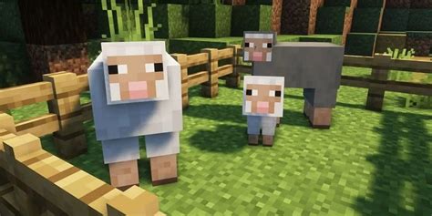 Você Não Vai Acreditar No Que Essa Fazenda De Ovelhas Do Minecraft Esconde