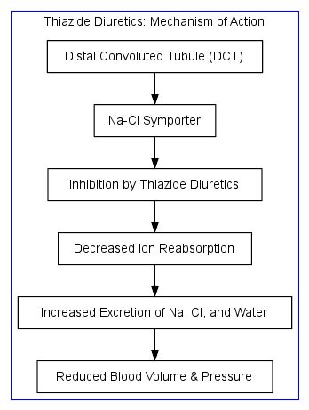 Pharmacology Of Thiazide Diuretics Pharmacology Mentor