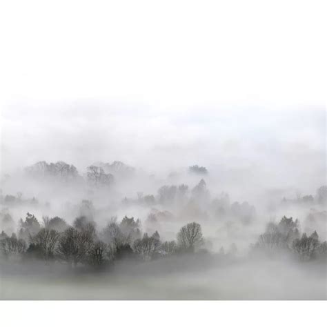 Morning Fog Maxi By Rebel Walls Grey Mural Wallpaper Direct