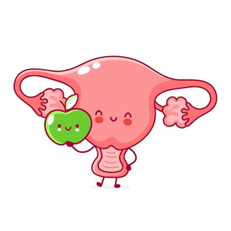 Premium Vector Cute Happy Funny Woman Uterus Organ With Apple Line Cartoon Kawaii Character