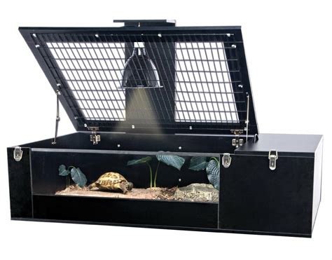 Best Russian Tortoise Enclosures [The Top 2 In 2022]