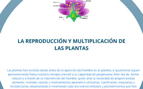 LA REPRODUCCIÓN Y MULTIPLICACIÓN VEGETAL by Diego de Jesus Roman Payan