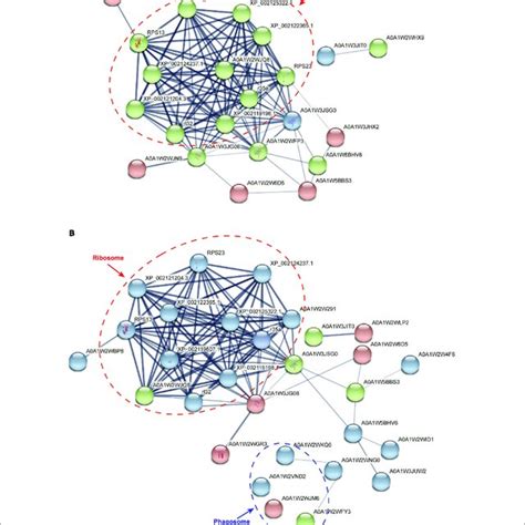 Protein Protein Interaction Analysis Of Differential Abundance Download Scientific Diagram