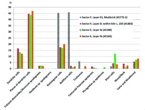 Phytolith Analysis Results A Few Examples Download Scientific Diagram