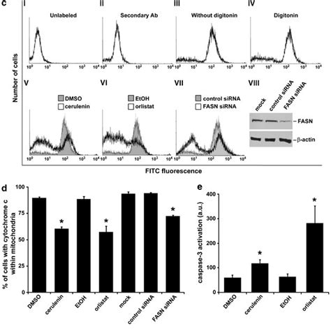 FASN Inhibitors Reduce B16 F10 Melanoma Cell Viability B16 F10 Cells