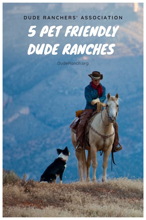 5 Pet Friendly Dude Ranches For Your Next Vacation The Dude Ranchers