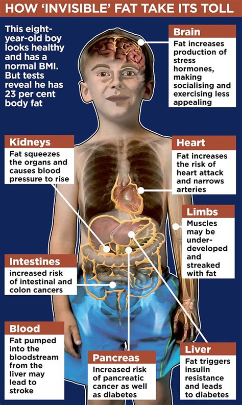 Britain's Thin Outside but Fat Inside kids health time-bomb | Daily Mail Online