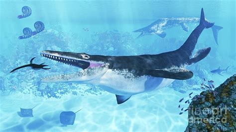 Mosasaurus Hunting A Plesiosaur Photograph By James Kuetherscience