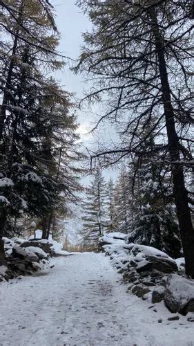 Best Snowshoeing Trails In Gran Paradiso National Park Alltrails