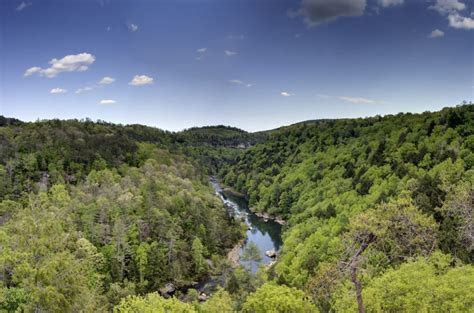 Nonprofits Launch Campaign To Protect Clear Creek And Expand Obed Wild