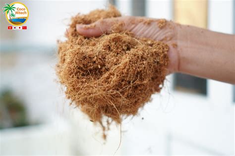 Benefits Of Using Coco Peat For Farm Coco Hitech