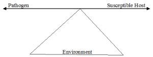 THE TRIANGLE OF EPIDEMIOLOGY (Epidemiological triad) - #1 Microbiology ...