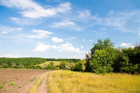 Premium Photo | Rural landscape