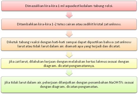 Praktikum Kimia Organik 3a Uji Kelarutan Senyawa Organik