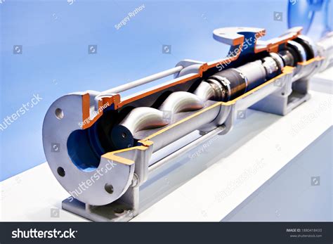 screw pump cross section exhibition stock photo edit