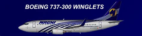 AI Magnicharters Boeing 737 300 Winglets New Livery Fleet Pack FSX